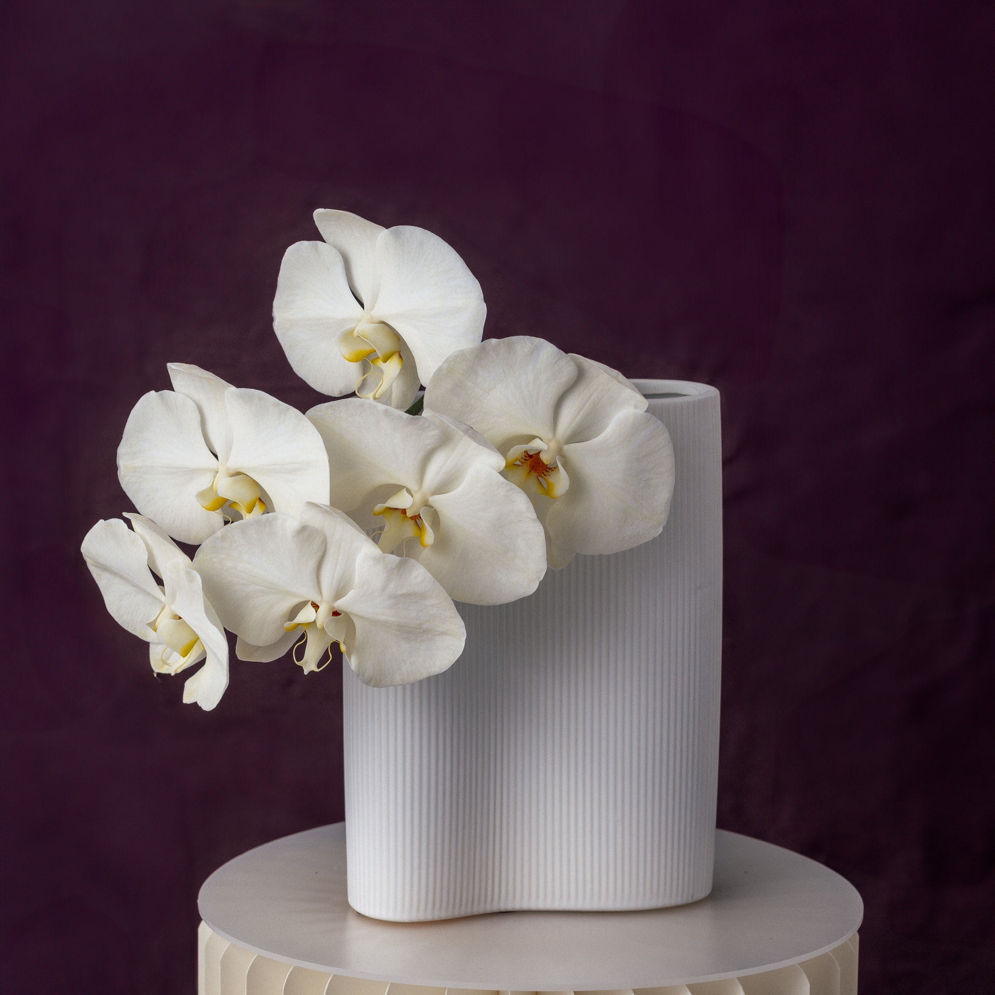 For Her, With Love | Single Orchid