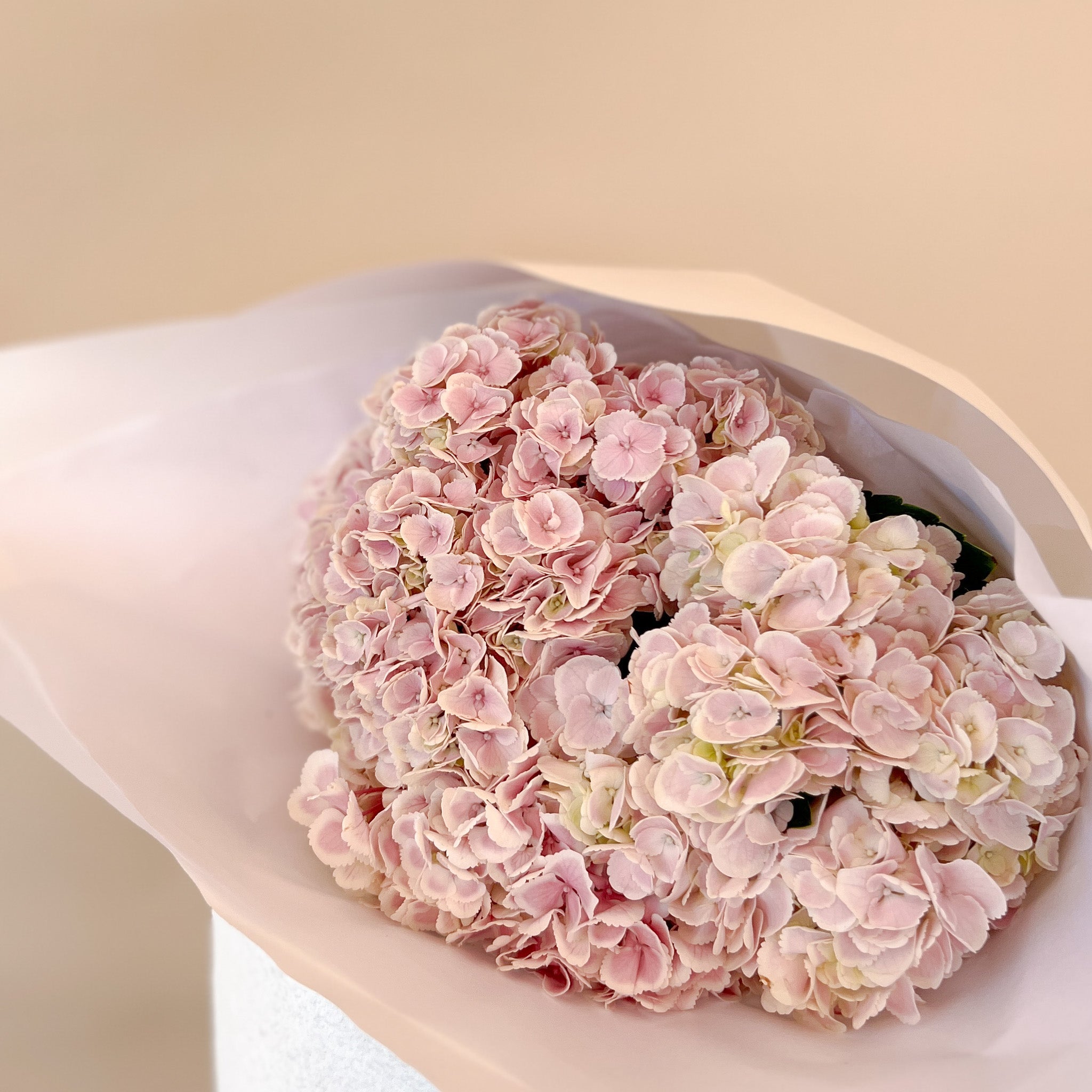 Hydrangea Market Bunch