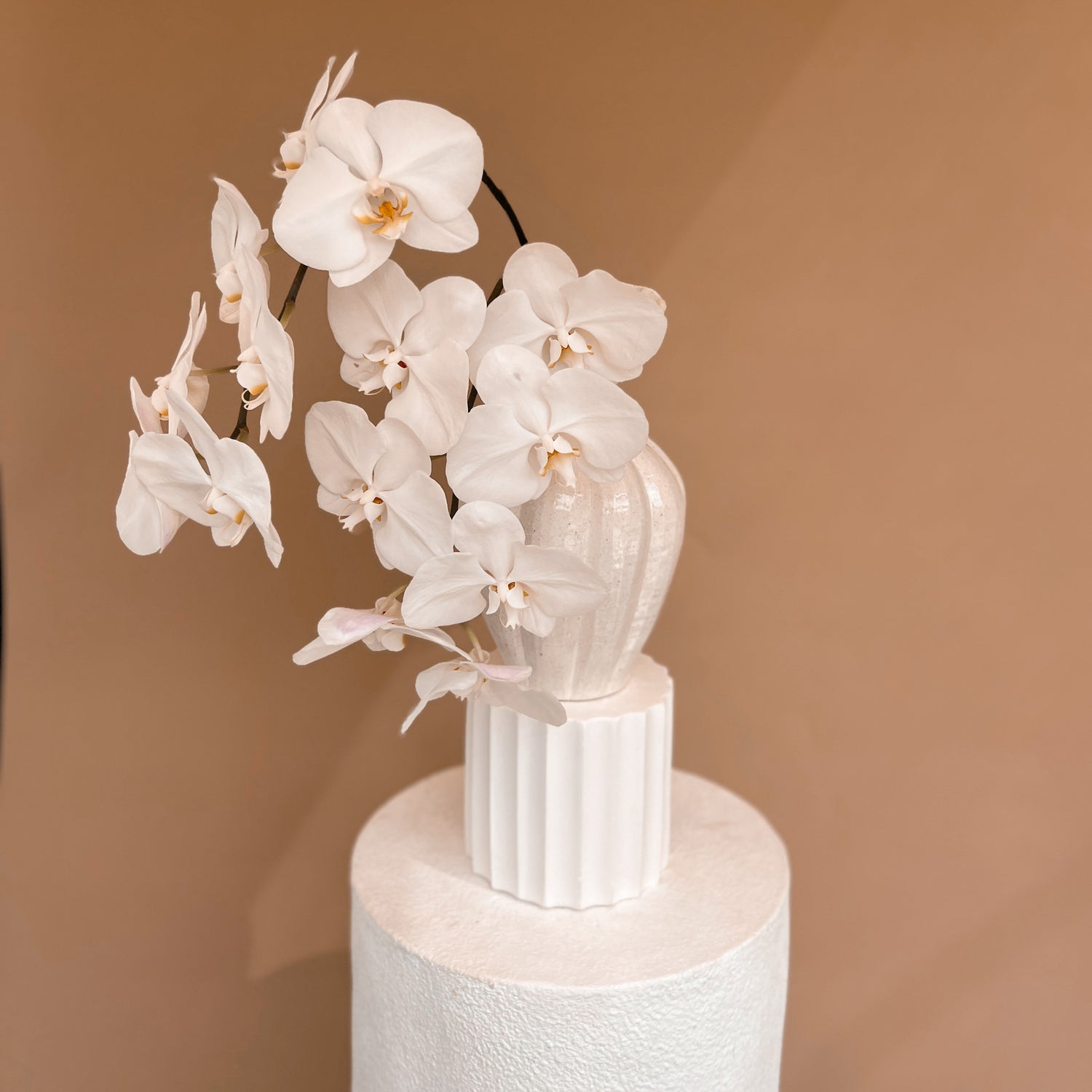 Clara Vase With Double Phalaenopsis Orchid Stem