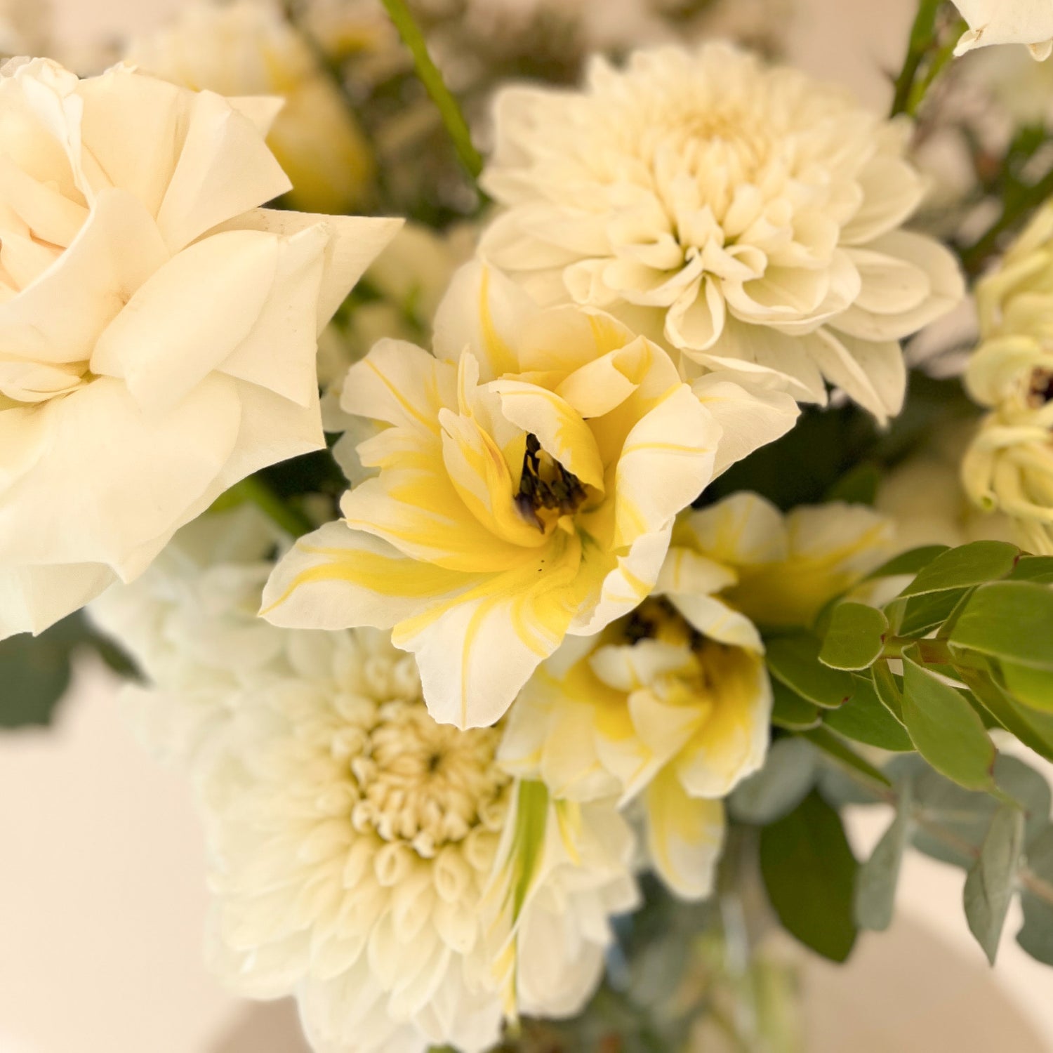 Blanc | Classic