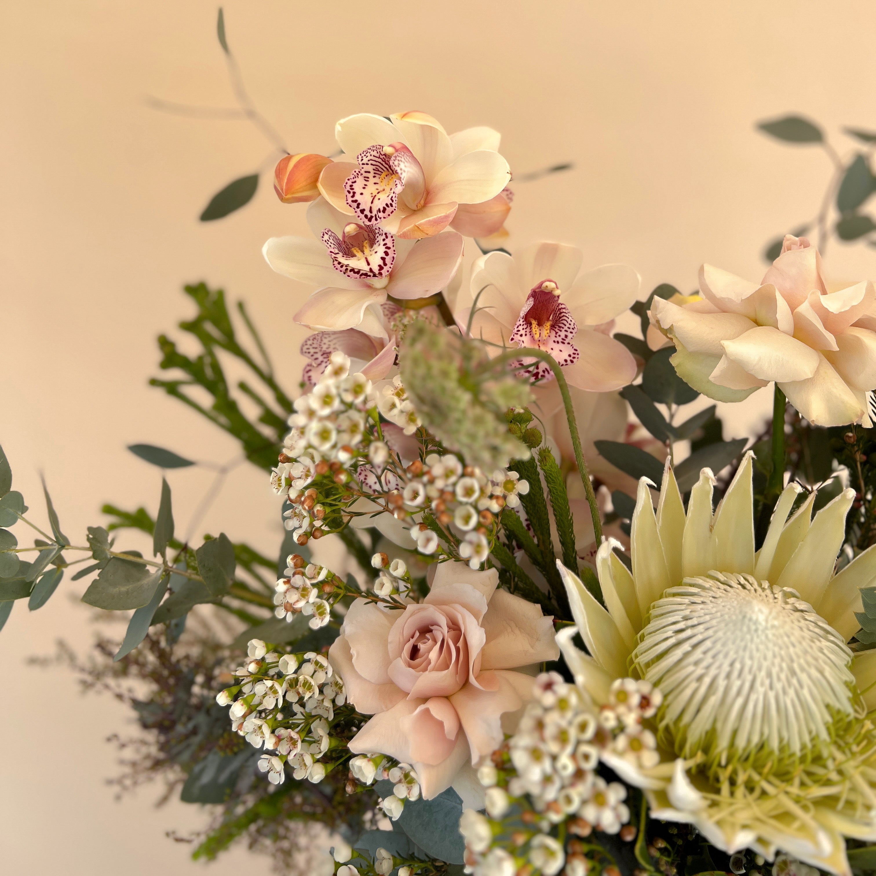 Wild Flower | Grandeur
