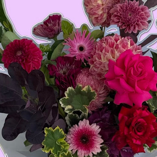 Midnight Muse | Classic