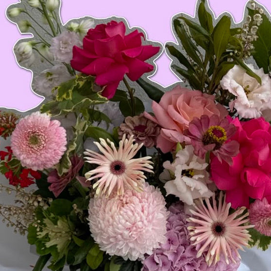 Soft Launch | Classic