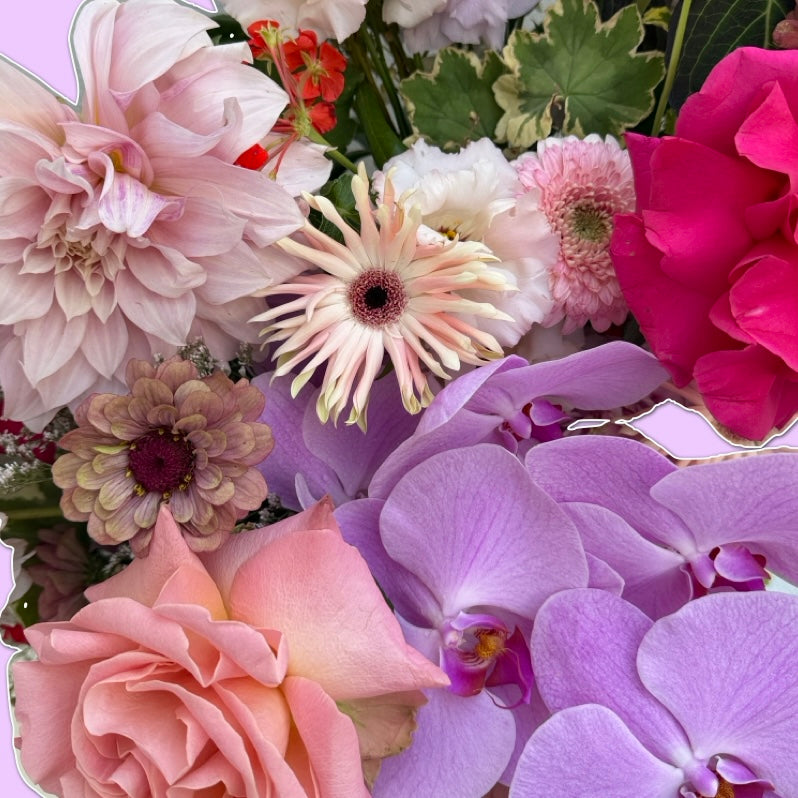 Soft Launch | With Orchid