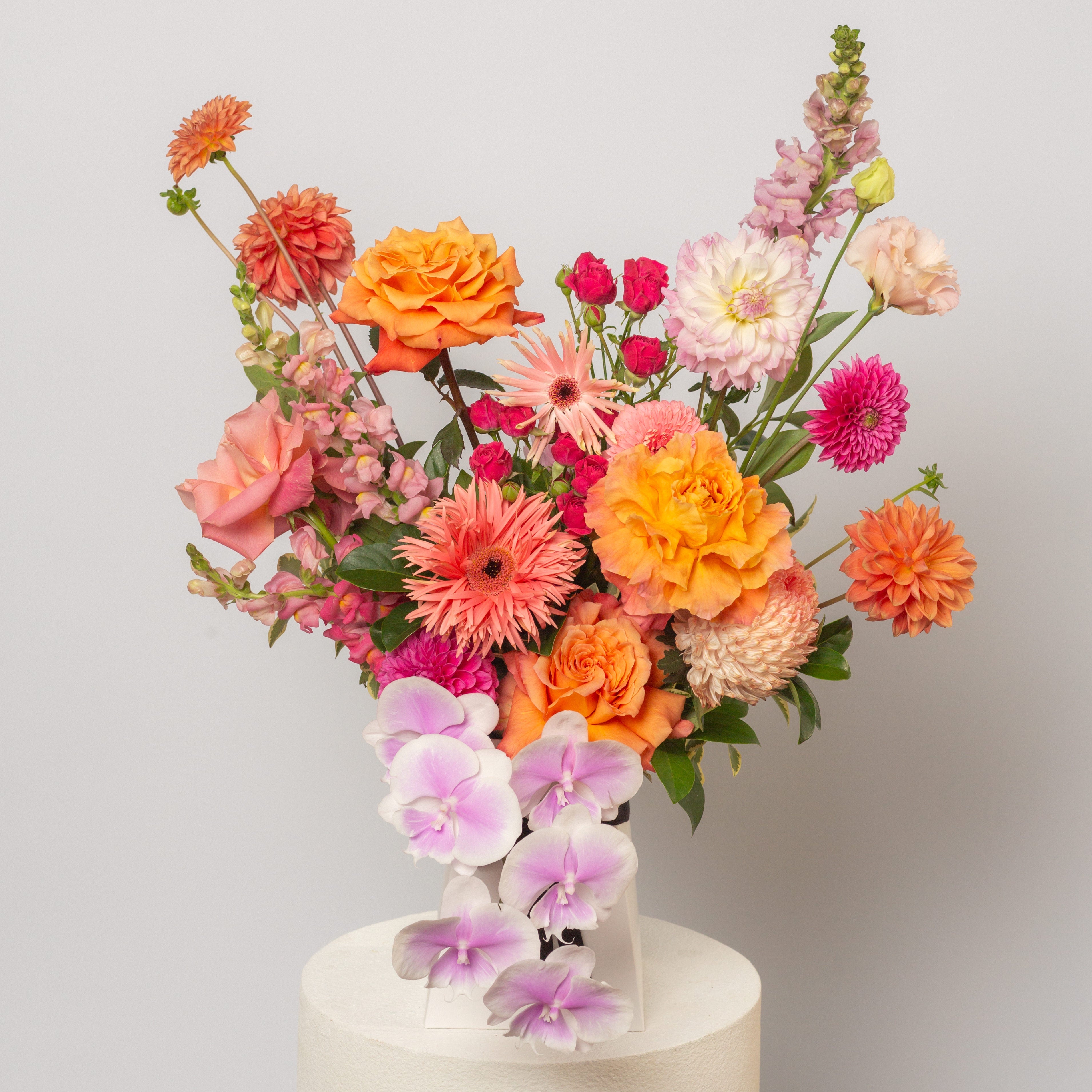 Wildly Loved | With Orchid