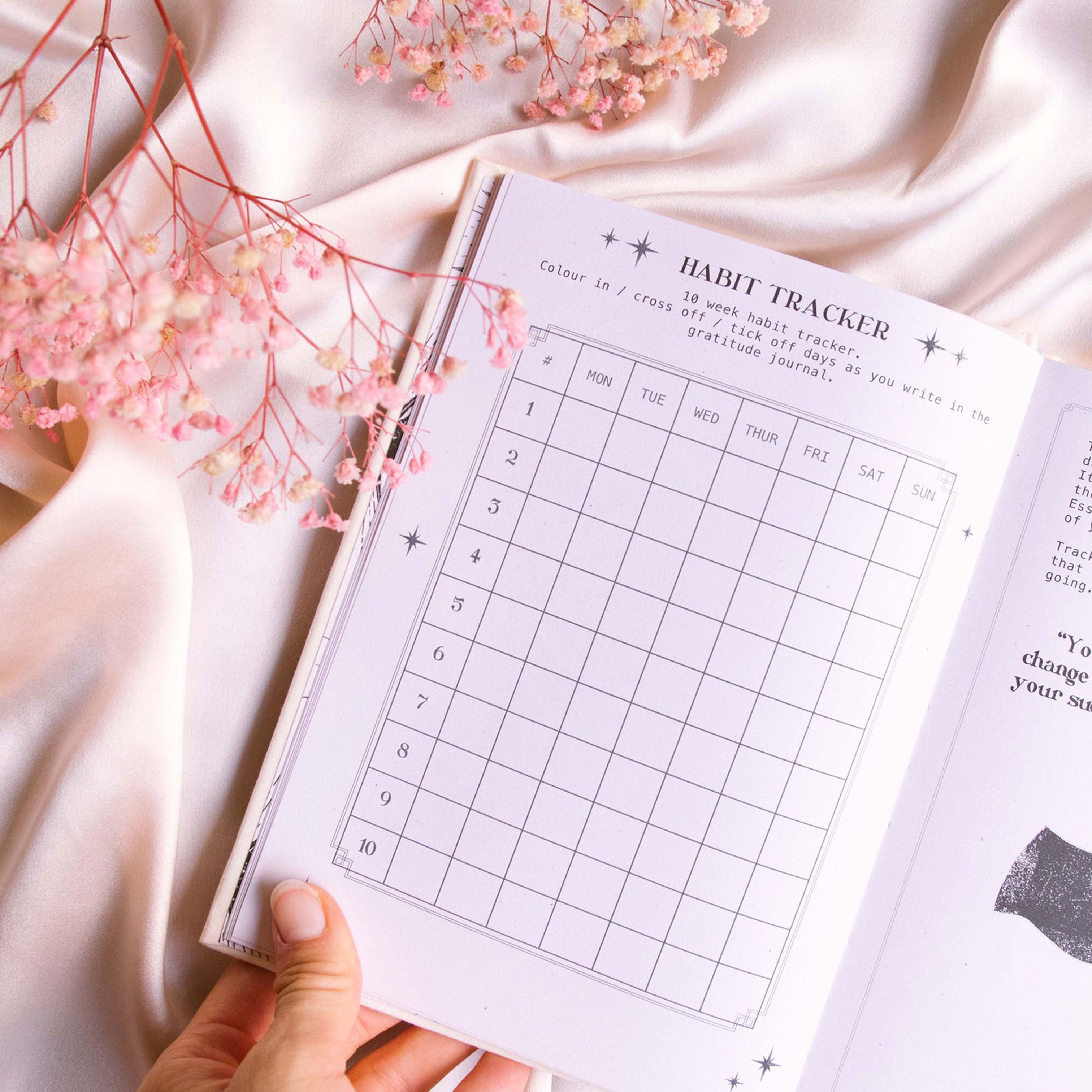 Dreamy Moons | Gratitude Journal