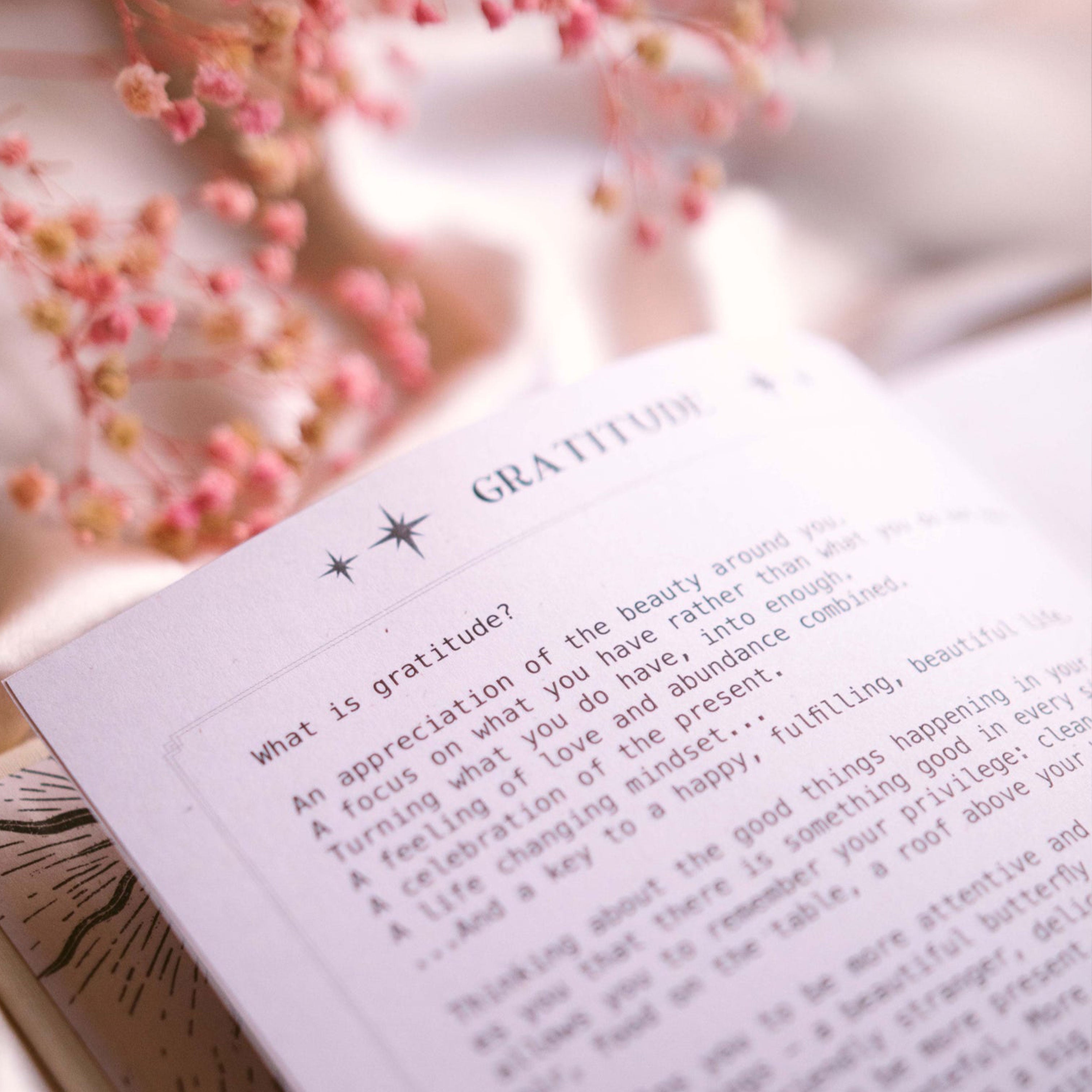 Dreamy Moons | Gratitude Journal
