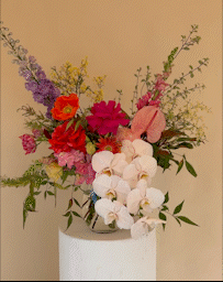 Add Orchid Stem for abundance to Colour Pop