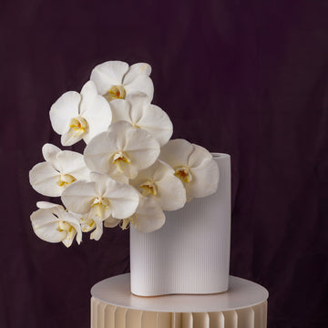 For Her, With Love | Double Orchids