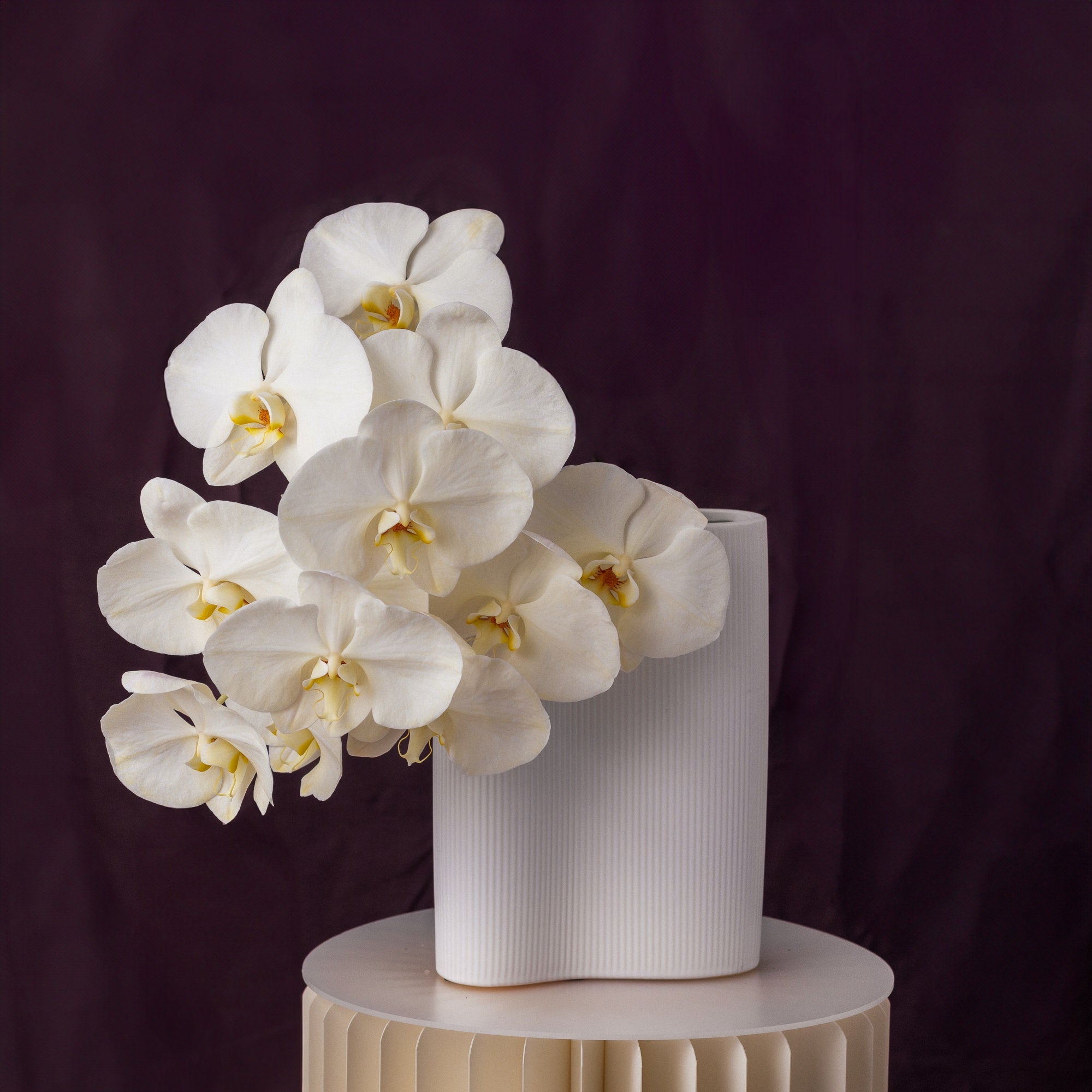 For Her, With Love | Double Orchids