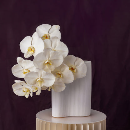For Her, With Love | Double Orchids