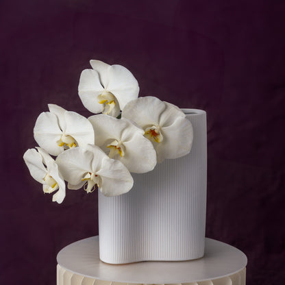 For Her, With Love | Single Orchid