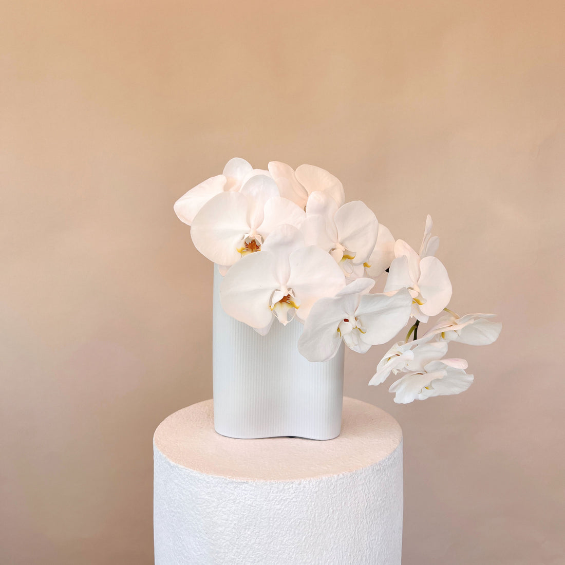 Wave Double Orchid Vase