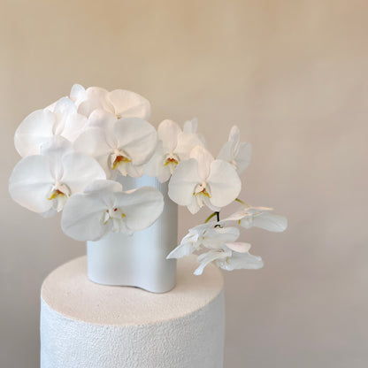 Wave Double Orchid Vase