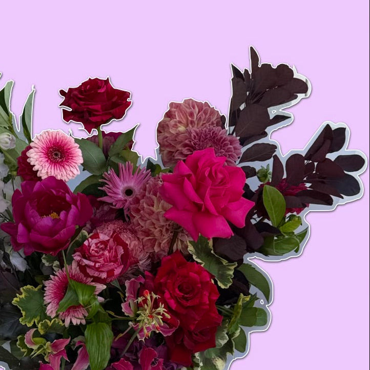 Midnight Muse | Statement