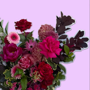 Midnight Muse | Statement