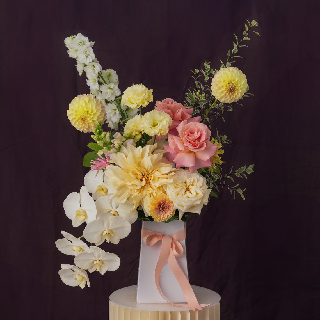 North Star | Majestic with Orchid