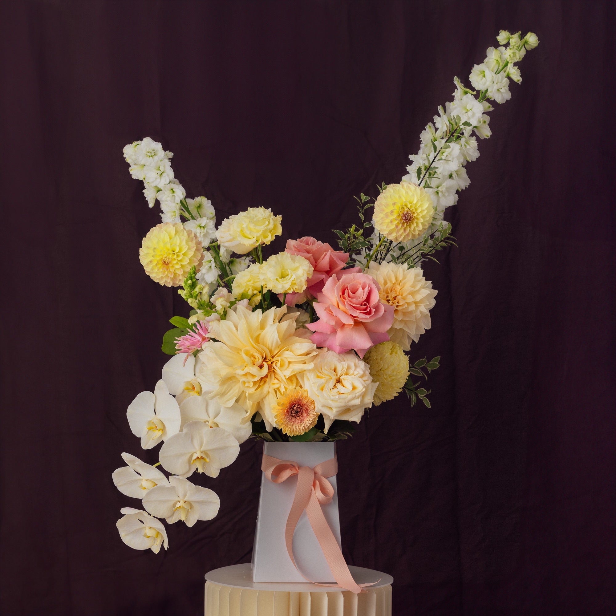 North Star | Grandeur with Orchid