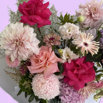 Soft Launch | Statement