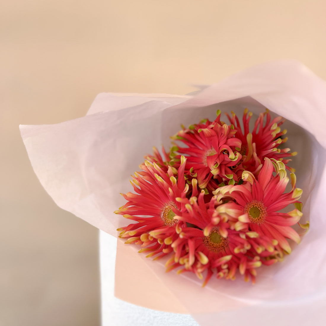 Spaghetti Gerbera Market Bunch