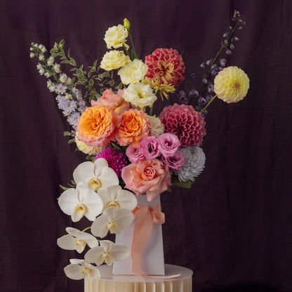 The Origin | Grandeur with Orchid