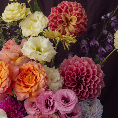 The Origin | Majestic with Orchid