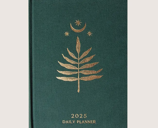 Dreamy Moons | 2025 Daily Planner | Forest