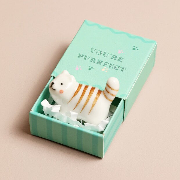 Tiny Matchbox | Cat Token