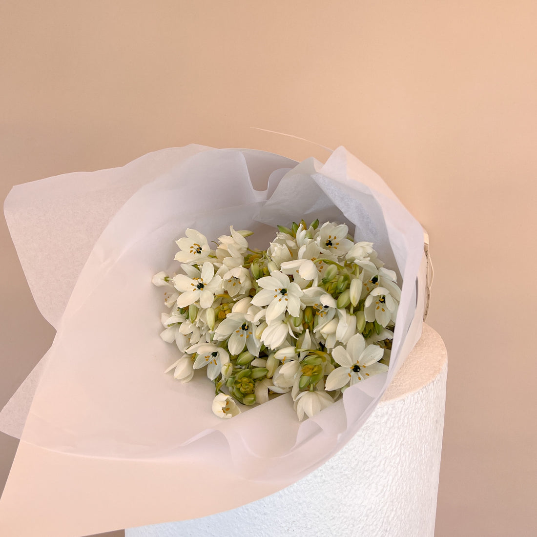 Chincherinchee Market Bunch