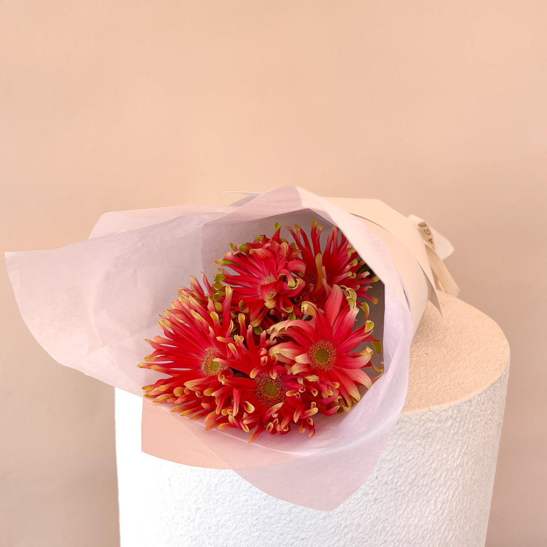 Spaghetti Gerbera Market Bunch